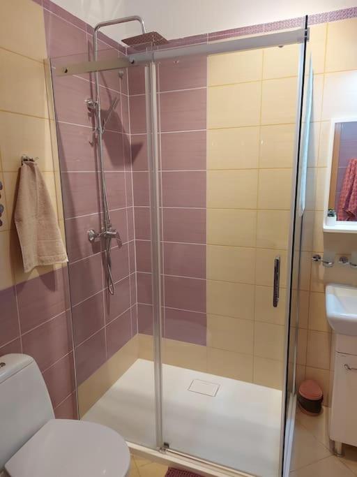 Homelyapartment Krakkó Kültér fotó