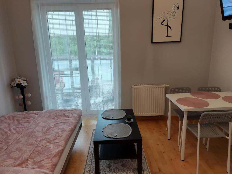 Homelyapartment Krakkó Kültér fotó