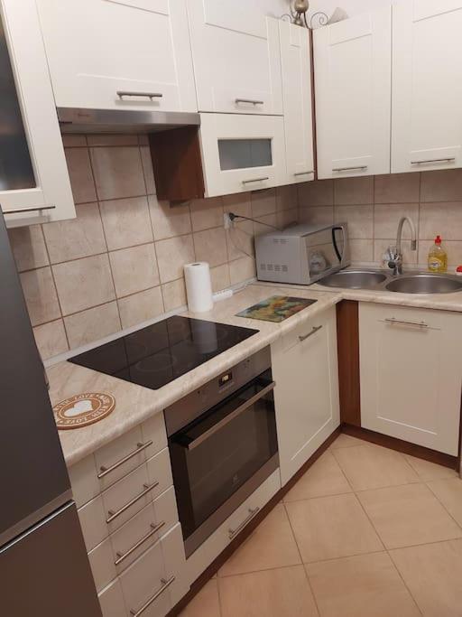Homelyapartment Krakkó Kültér fotó
